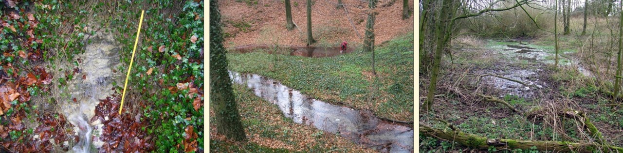 Grundwasseraustritte an Sturzquellen, Tümpelquelle und Sickerquelle