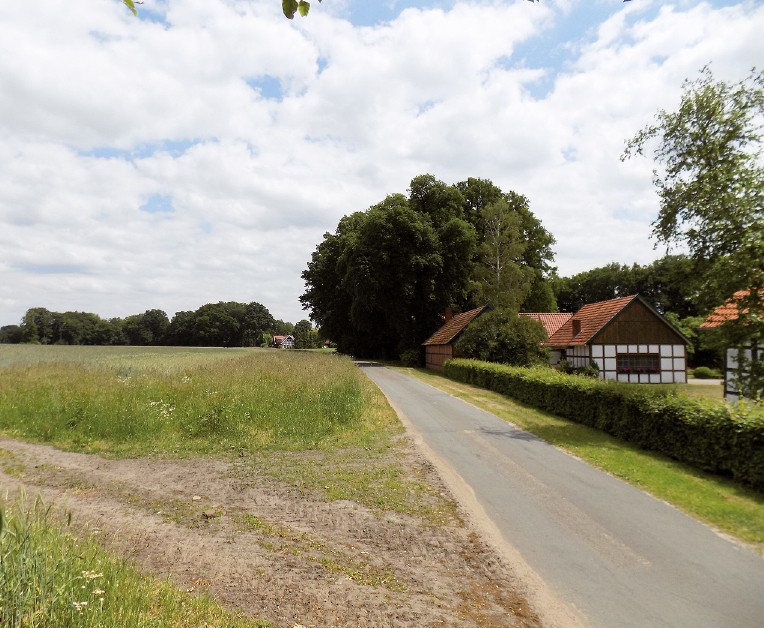 Sandboden bei Lienen im Kreis Steinfurt im Ostmünsterland; links das erhöhte Esch-Areal, rechts Teile der Drubbelsiedlung