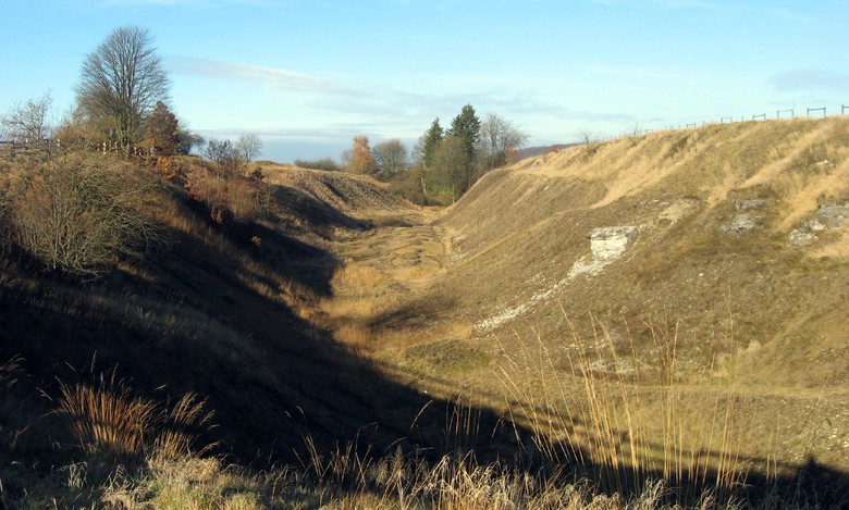 Die Vegetationsarmut in der "Bleikaule" bei Lichtenau-Blankenrode ist ein Indiz für die Schwermetallbelastung im Boden