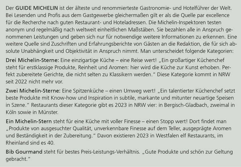 Info-Kasten mit Erläuterungen zu den Sterne-Kategorien des Guide Michelin