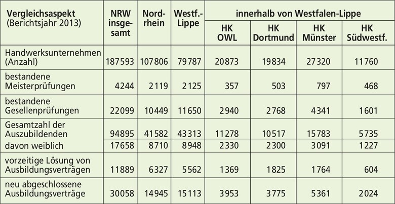 Qualifikationen und Ausbildungsverträge im Handwerk: Kennzahlen für das Jahr 2013