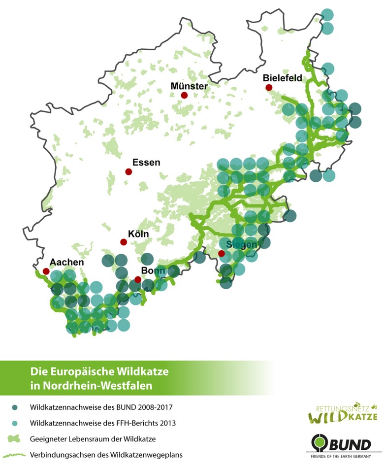 Die Europäische Wildkatze in Nordrhein-Westfalen: Nachweise, geeigneter Lebensraum und Verbindungsachsen des Wildkatzenwegeplans