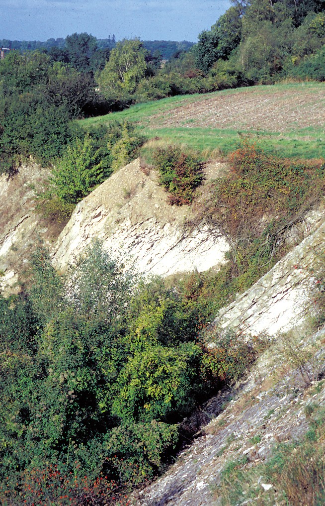 Cenoman-Plänerkalke aus der untersten Stufe der Oberkreide von vor 100–93 Mio. Jahren wurden bei Brochterbeck am östlichen Kleeberg industriell genutzt