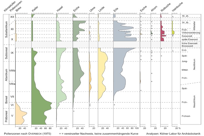 Vereinfachtes Pollendiagramm aus der Emscheraue bei Castrop-Rauxel