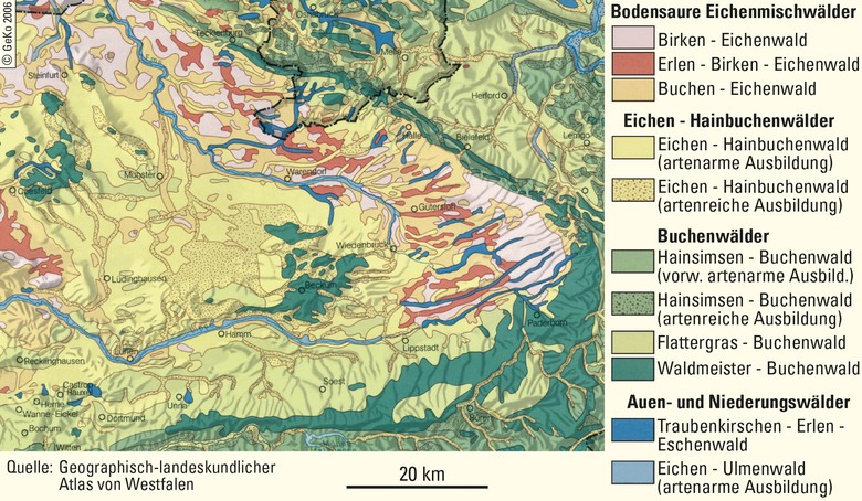 Potenzielle natürliche Vegetation des Münsterlandes und angrenzender Gebiete