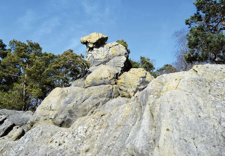 Die durch die Osning-Überschiebung verbogenen Gesteinsschichten im Bereich der Dörenther Klippen sind um etwa 45 Grad nach Südwesten geneigt