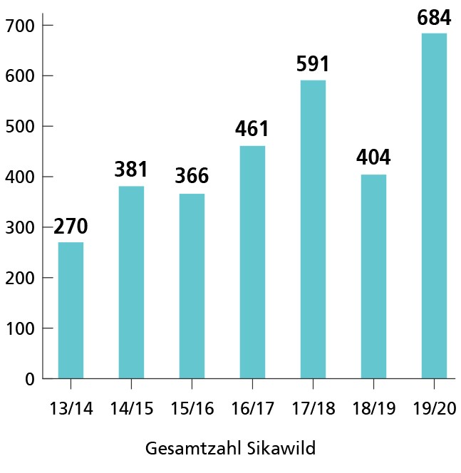 Jagdstrecke des Sikawildes in Nordrhein-Westfalen und im Kreis Soest 2013 bis 2020