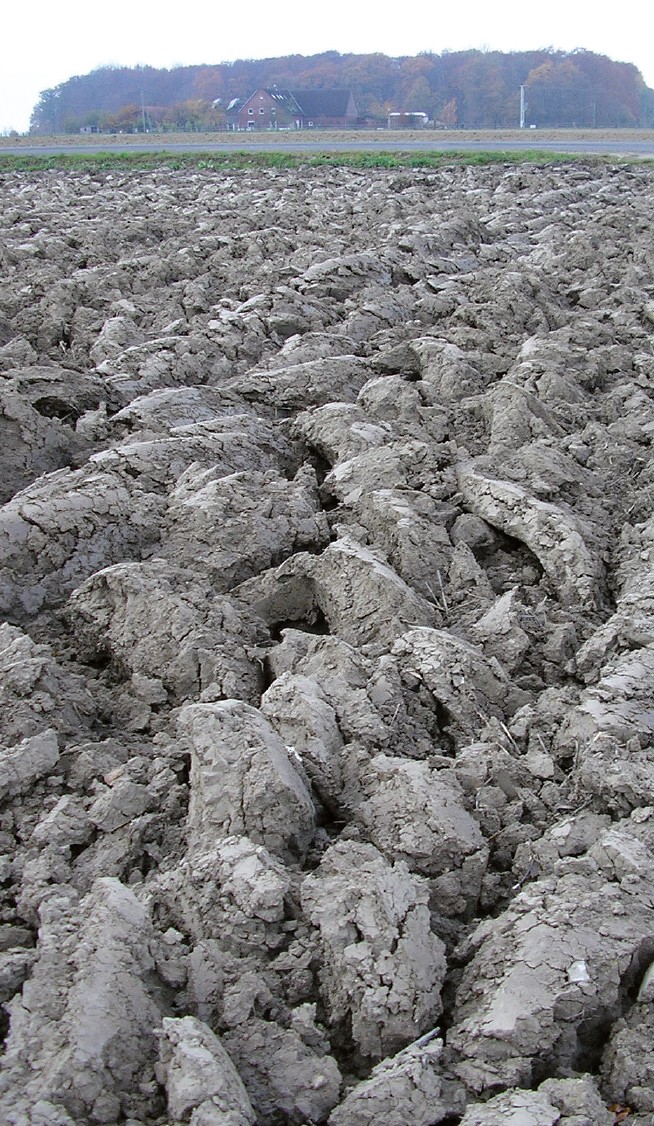 Kleiboden im Südosten der Stadt Telgte im Kernmünsterland