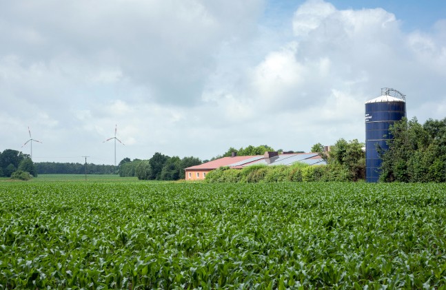 Die heutige industrielle Landwirtschaft prägt weite Gegenden u.a. im Westmünsterland