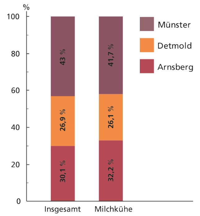 Diagramm mit Zahlen zu den Rinderhaltungen in den Regierungsbezirken Westfalens im Jahr 2023