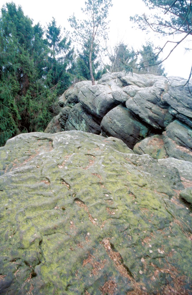 Rippelmarken auf einer Schichtfläche des Osning-Sandsteins am Dreikaiserstuhl bei Brochterbeck