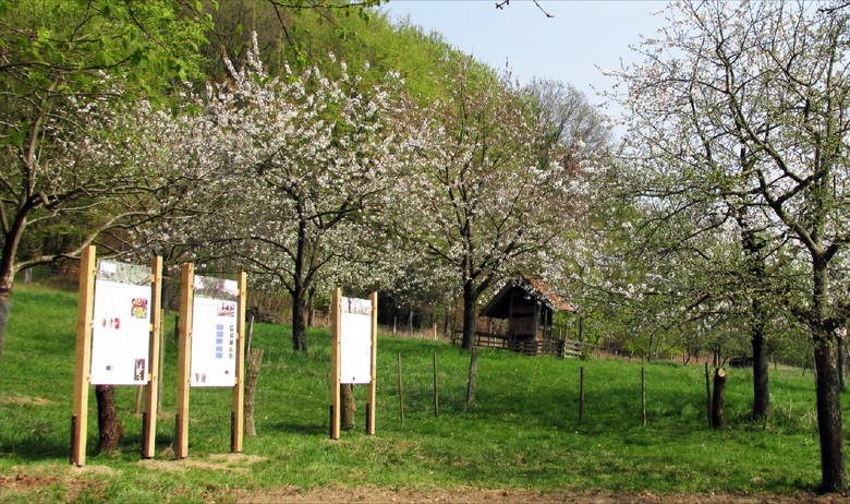 Infotafeln an der Obstwiese