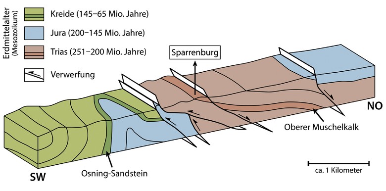 Geologischer Querschnitt durch das Stadtgebiet von Bielefeld