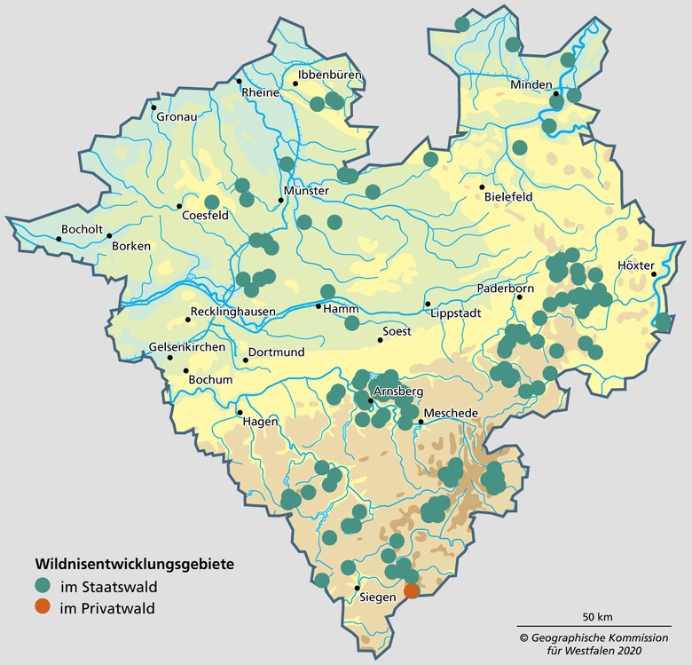 Wildnisentwicklungsgebiete im Staats- und Privatwald Westfalens