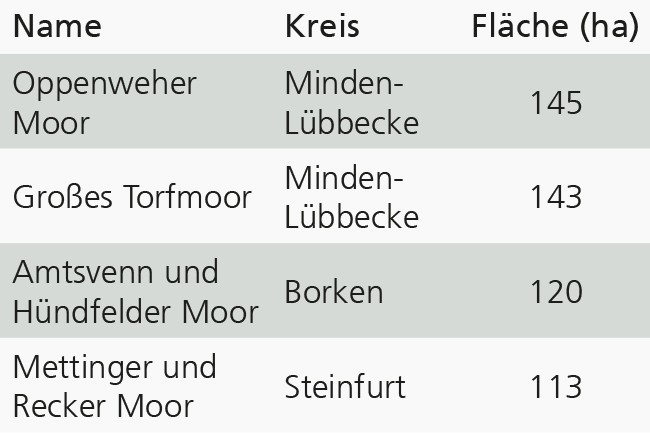 Tabelle mit Westfalens größten FFH-Flächen mit renaturierungsfähigen degradierten Hochmooren