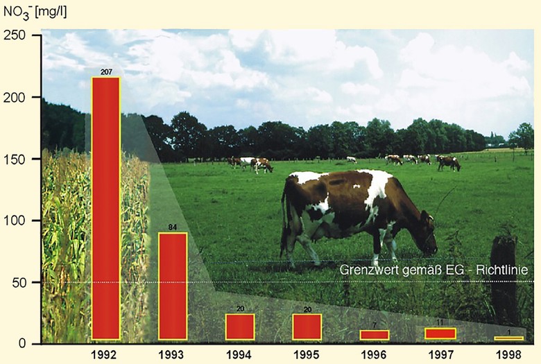 Rückgang der Nitrat-Konzentration im Grundwasser nach der Umwandlung eines Maisackers in Grünland