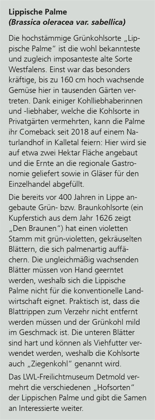 Info-Kasten über die Lippische Palme