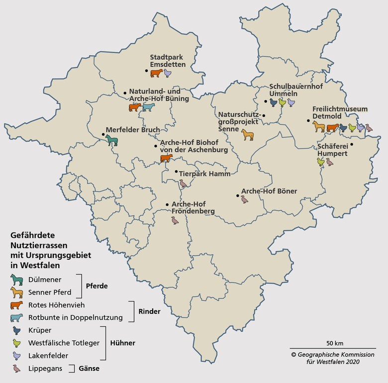 Haltungen westfälischer Nutztierrassen (Stand 2019)
