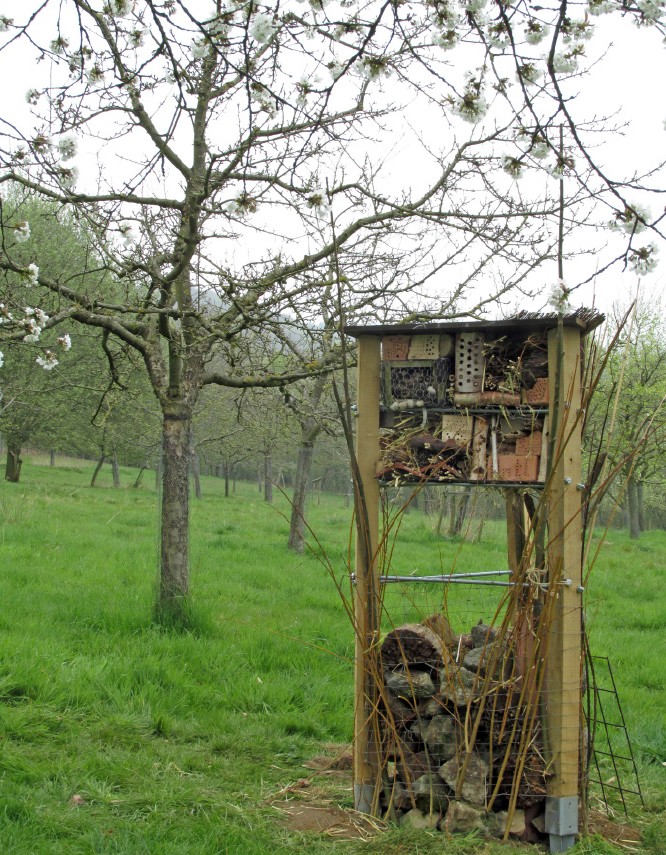 Die Bewohner des "Nützlingsturms" halten Obstbaumschädlinge fern